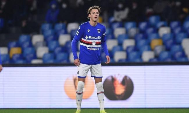 素共同作用 素共同作用