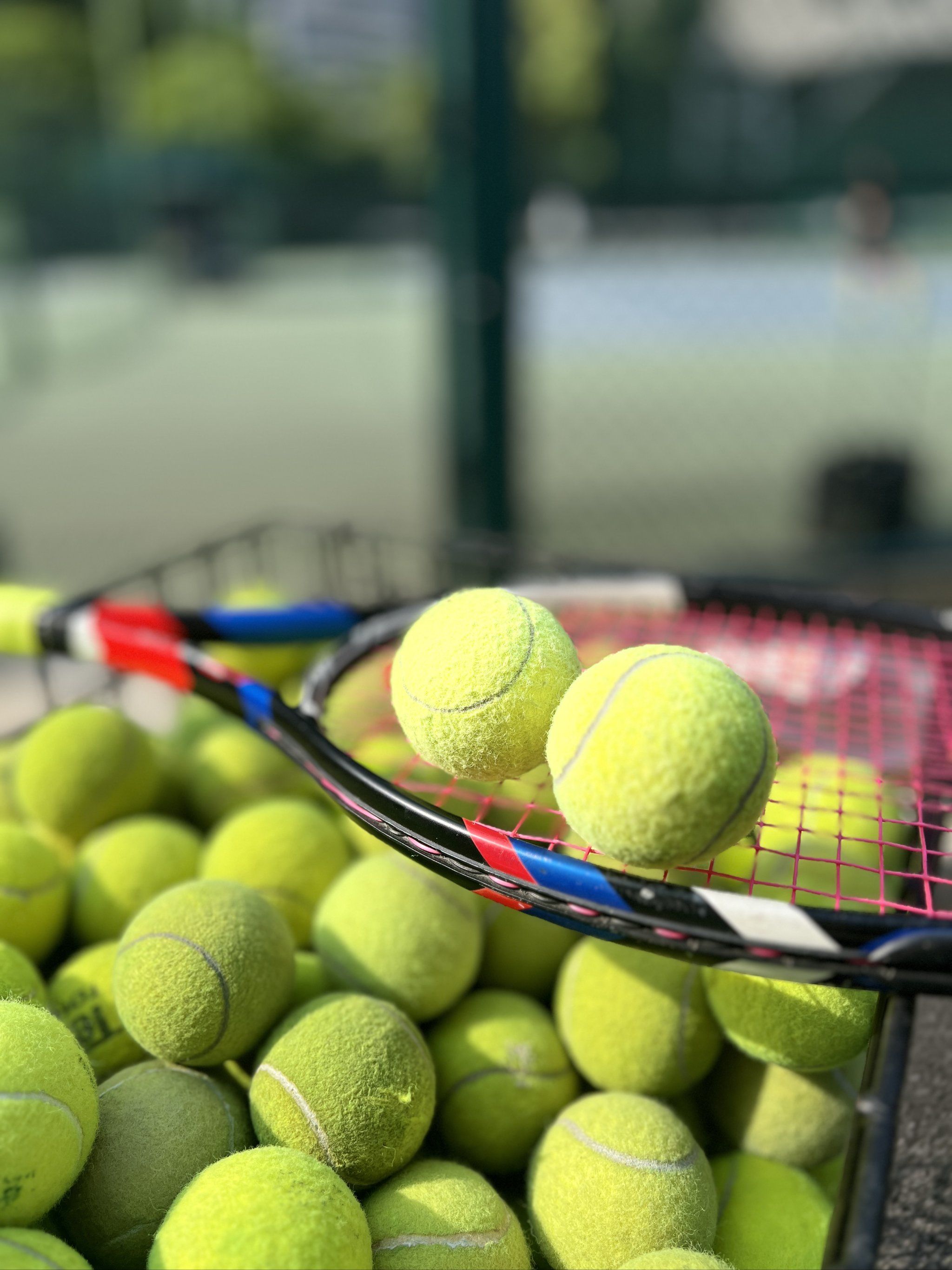 這支球隊近 這支球隊近