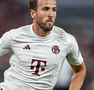 球迷的热切 球迷的热切