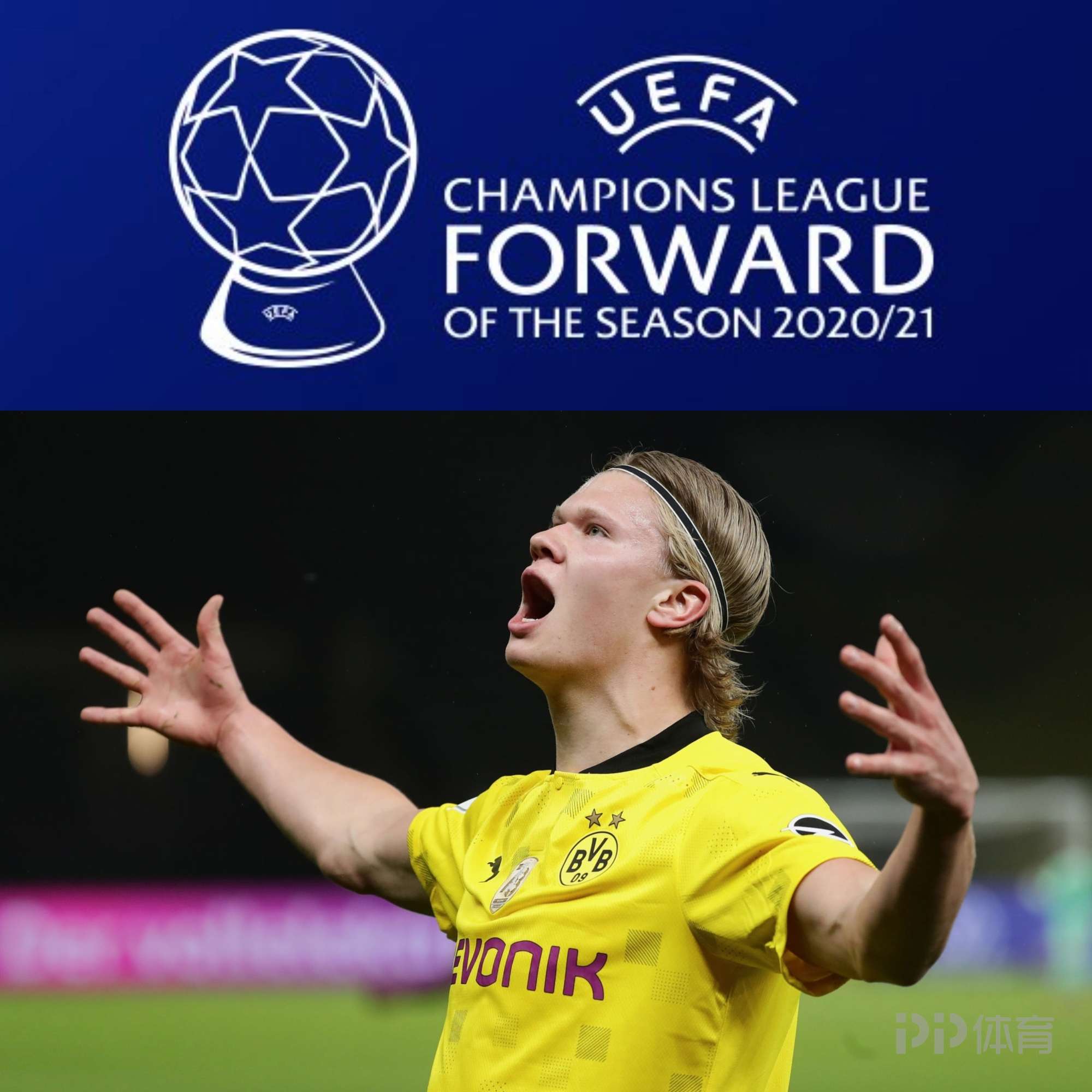 同样影响质 同样影响质