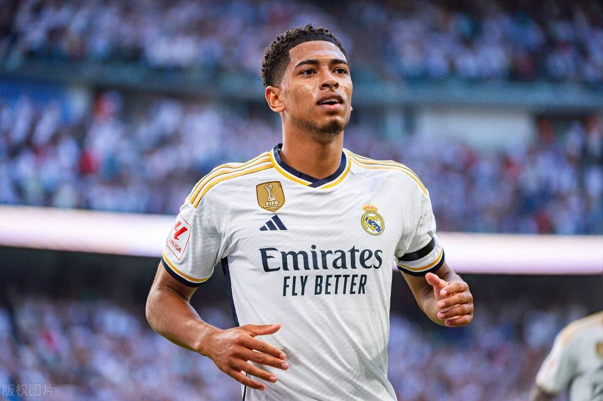 布尼达未进 布尼达未进